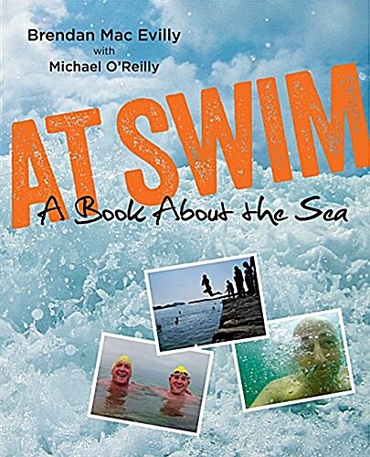 At Swim: A Book About the Sea (Paperback)