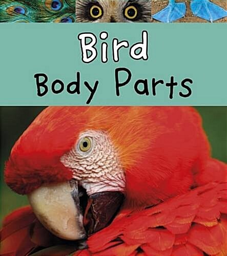 Bird Body Parts (Paperback)