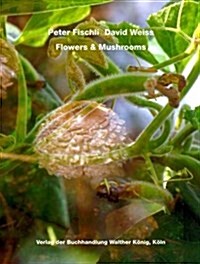 Peter Fischli and David Weiss: Flowers and Mushrooms (Paperback)