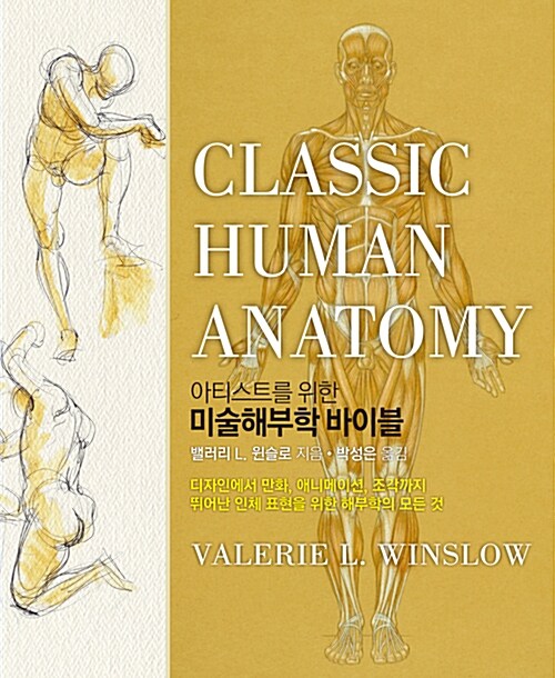 (아티스트를 위한) 미술해부학 바이블= Classic human anatomy