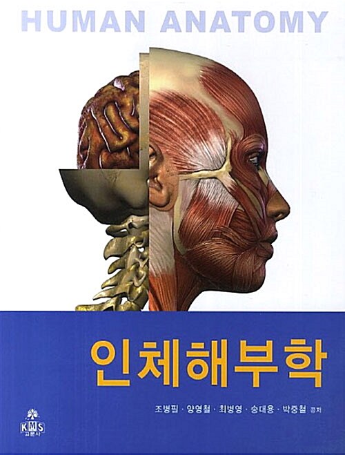 인체해부학