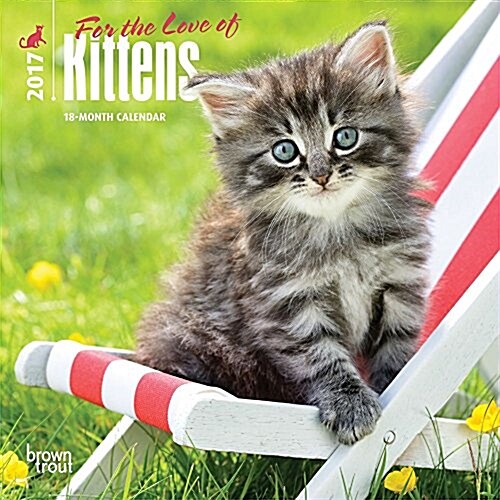 Kittens, for the Love of 2017 Calendar (Calendar, Mini)