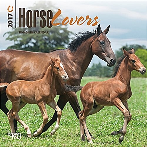 Horse Lovers 2017 Calendar (Calendar, Mini)
