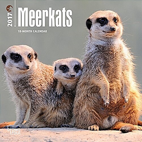 Meerkats 2017 Calendar (Calendar, Mini)