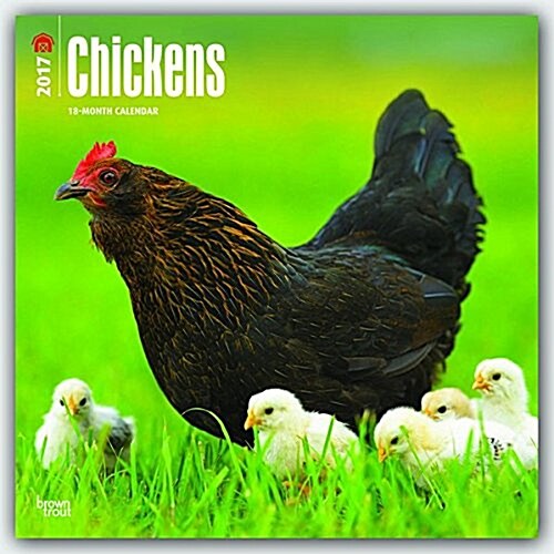 Chickens 2017 Square (Wall)