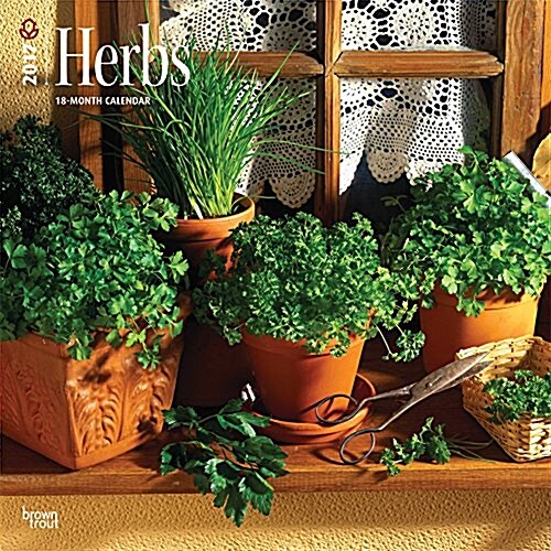 Herbs 2017 Calendar (Calendar, Wall)