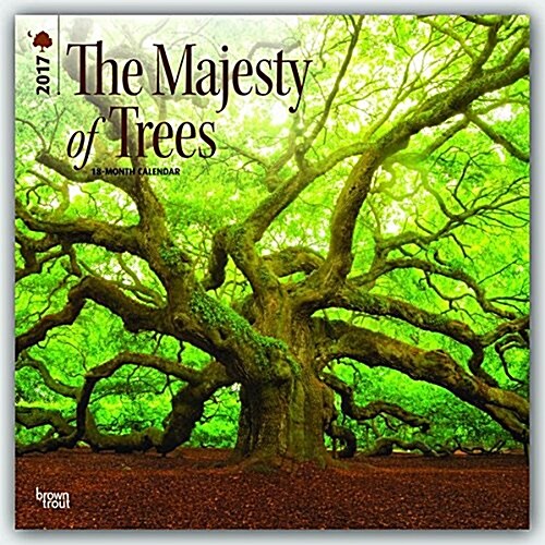 Majesty of Trees, the 2017 Calendar (Calendar, Wall)