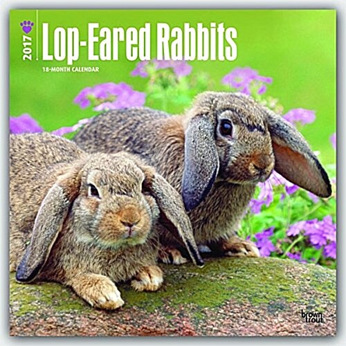 Lop-Eared Rabbits 2017 Square (Wall)