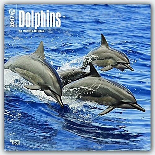 Dolphins 2017 Calendar (Calendar, Wall)