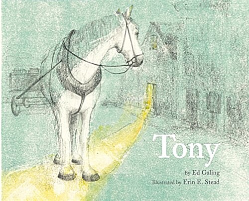Tony (Hardcover)
