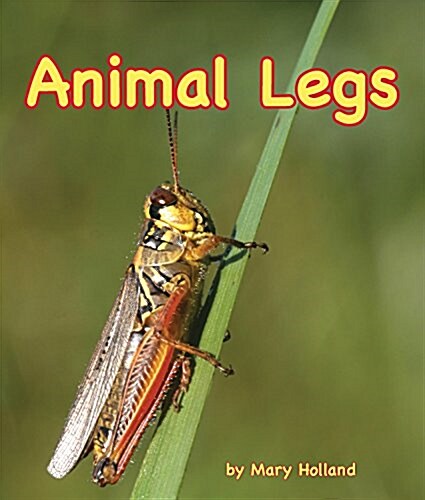 Animal Legs (Paperback)