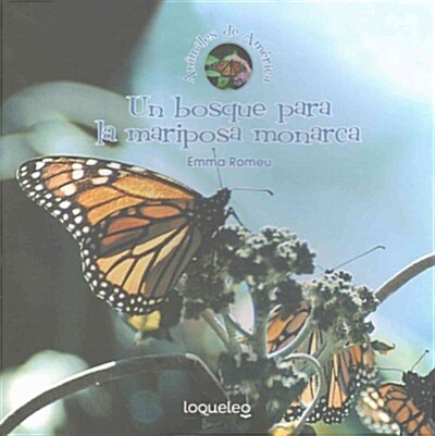 Un Bosque Para La Mariposa Monarca (Paperback)