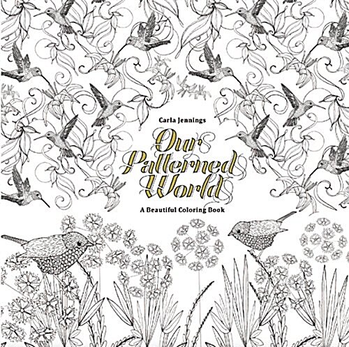 Our Patterned World: A Beautiful Coloring Book (Paperback)