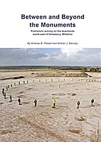 Between and Beyond the Monuments : Prehistoric activity on the downlands south-east of Amesbury. (Hardcover)
