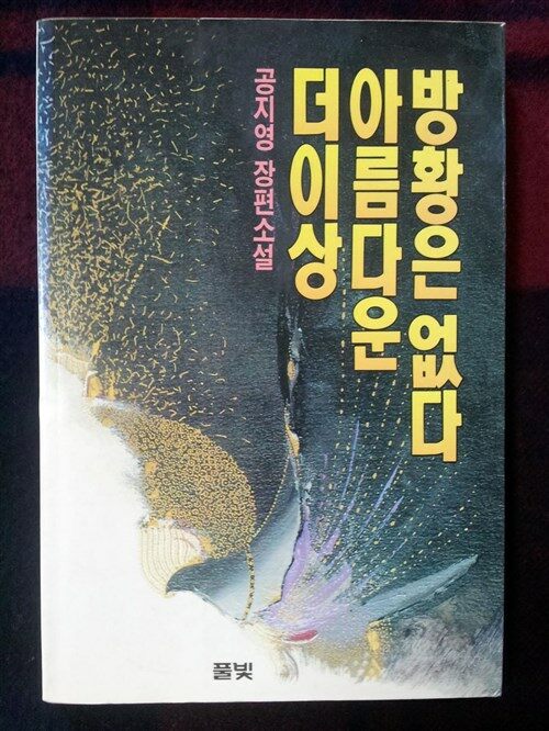 [중고] 더 이상 아름다운 방황은 없다