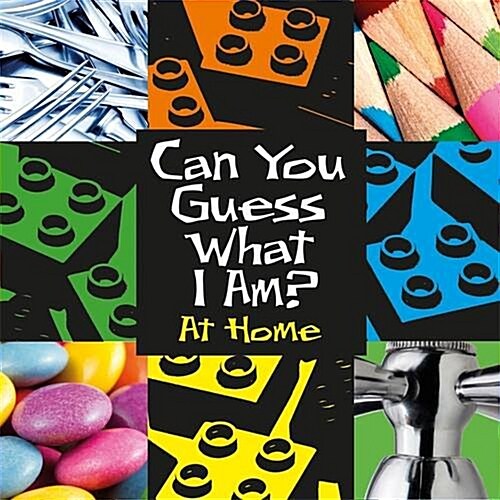 Can You Guess What I Am?: At Home (Paperback, Illustrated ed)