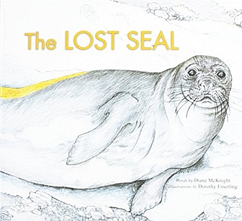 THE LOST SEAL (Paperback)