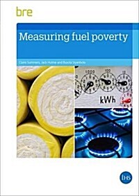 Measuring Fuel Poverty (Paperback)