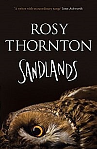 Sandlands (Paperback)