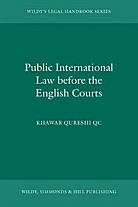 Public International Law Before the English Courts (Paperback)