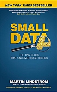 Small Data : The Tiny Clues That Uncover Huge Trends (Paperback)