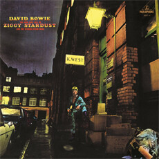 [수입] David Bowie - The Rise And Fall Of Ziggy Stardust And The Spiders From Mars [Remastered 180g LP]