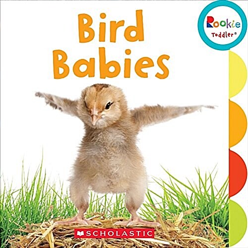 Bird Babies (Rookie Toddler) (Board Books)