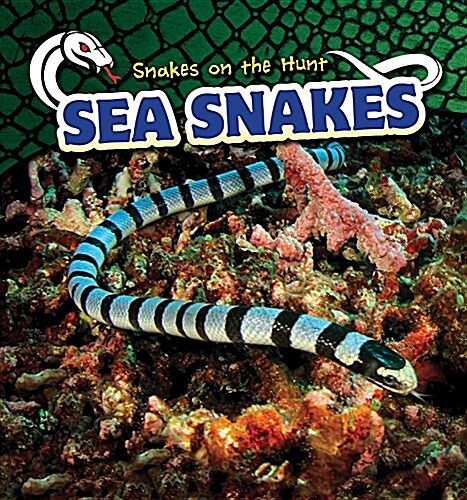 Sea Snakes (Paperback)