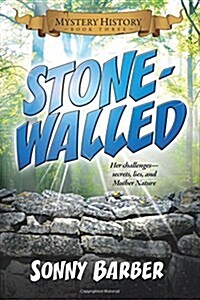 Stonewalled: Mystery History Book Three (Paperback)