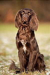 The German Longhaired Pointer Dog Journal: 150 Page Lined Notebook/Diary (Paperback)