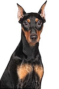 The German Pinscher Dog Journal: 150 Page Lined Notebook/Diary (Paperback)