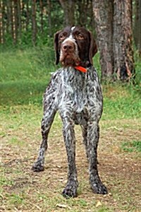 The German Wirehaired Pointer Dog Journal: 150 Page Lined Notebook/Diary (Paperback)