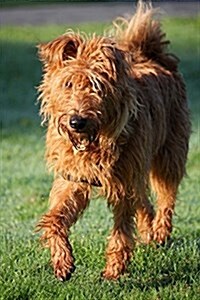 The Irish Terrier Dog Journal: 150 Page Lined Notebook/Diary (Paperback)