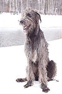 The Irish Wolfhound Dog Journal: 150 Page Lined Notebook/Diary (Paperback)