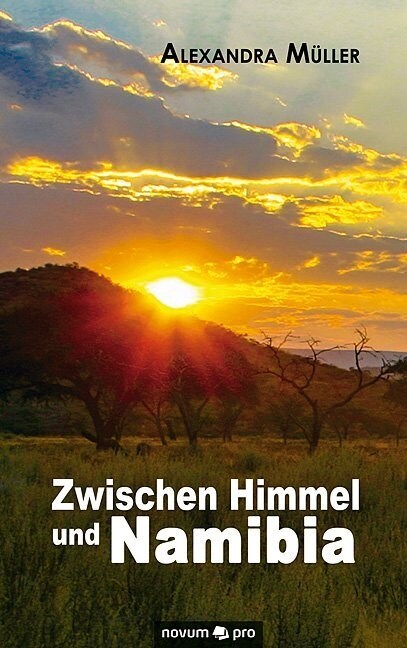 Zwischen Himmel Und Namibia (Hardcover)