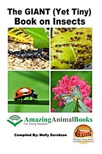 The Giant (Yet Tiny) Book on Insects (Paperback)