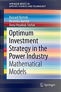 Optimum Investment Strategy in the Power Industry: Mathematical Models (Paperback, 2016)