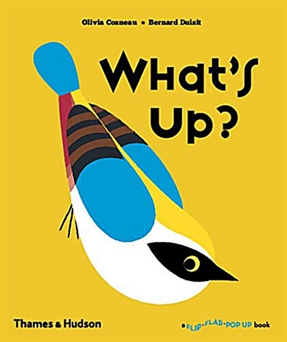 Whats Up? (Hardcover)
