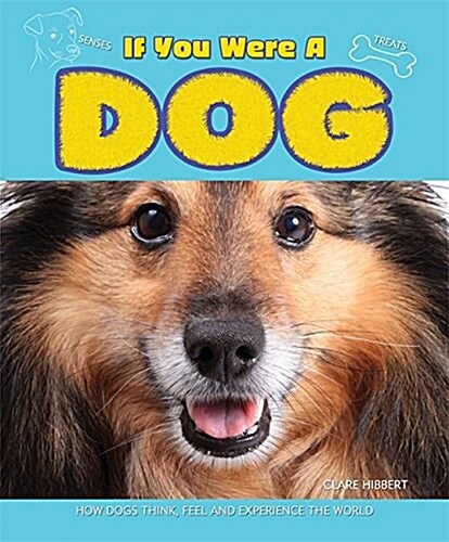 If You Were a Dog (Paperback, Illustrated ed)