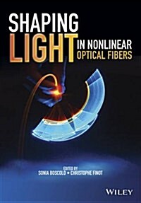 Shaping Light in Nonlinear Optical Fibers (Hardcover)