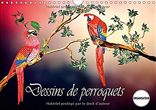 Dessins de Perroquets 2017 : Perroquets, Comme Ils Sont et Comme Ils Pourraient Etre, au Plumage Bigarre (Calendar)