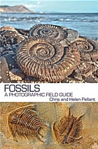 Fossils : A Photographic Field Guide (Paperback)