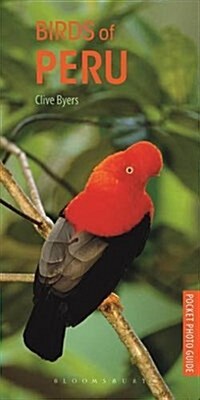 Birds of Peru (Paperback)