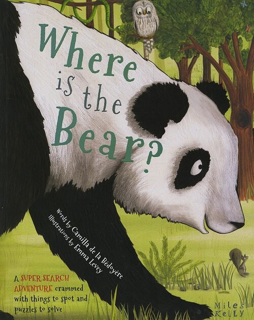 Super Search Adventure: Where is the Bear (Paperback)