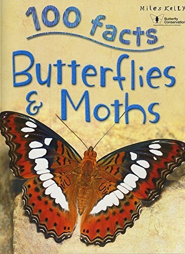 Butterflies and Moths (Paperback)