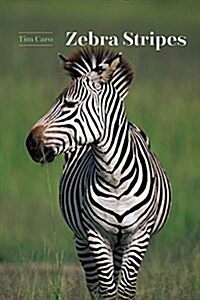 Zebra Stripes (Hardcover)