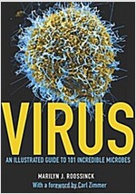 Virus: An Illustrated Guide to 101 Incredible Microbes (Hardcover)