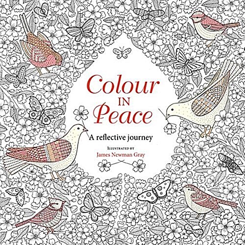 Colour in Peace : A Reflective Journey (Paperback)