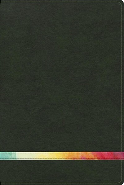 Rvr 1960 Biblia de Estudio Arco Iris, Verde Profundo/Multi Simil Piel (Imitation Leather)