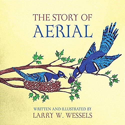 The Story of Aerial (Paperback)